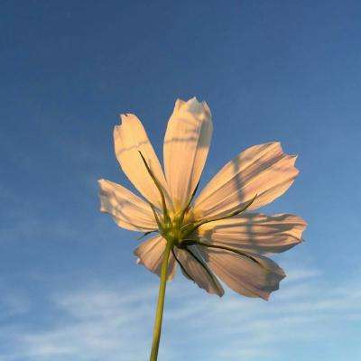 可以上下分捕鱼app下载手机版截图