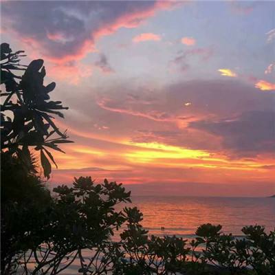 半岛官方登录地址