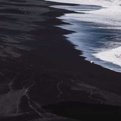 单机的打鱼游戏手机app下载